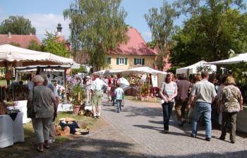 Sommersdorf 2008