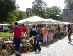 Sommersdorf 2008