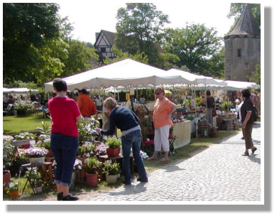 Schlo Sommersdorf 2008